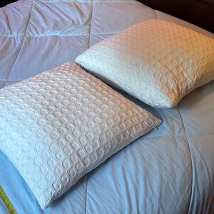 2 Large 18”x18” down filled Textured Pillows